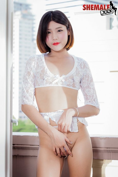 레이디보이 - 태국 레이디보이 누드포토 3 번째 이미지